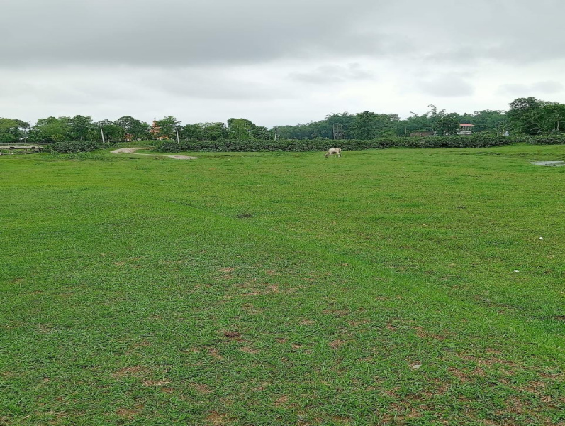  Residential Plot 720 Sq.ft. for Sale in Shiv Mandir, Siliguri