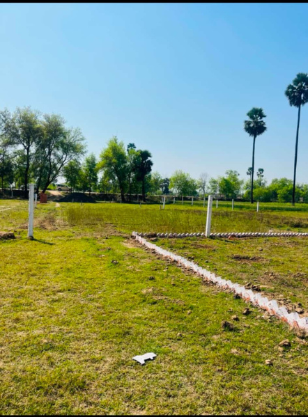  Residential Plot 1200 Sq.ft. for Sale in Bihta, Patna