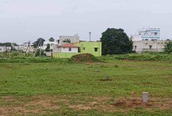  Residential Plot for Sale in Othakalmandapam, Coimbatore