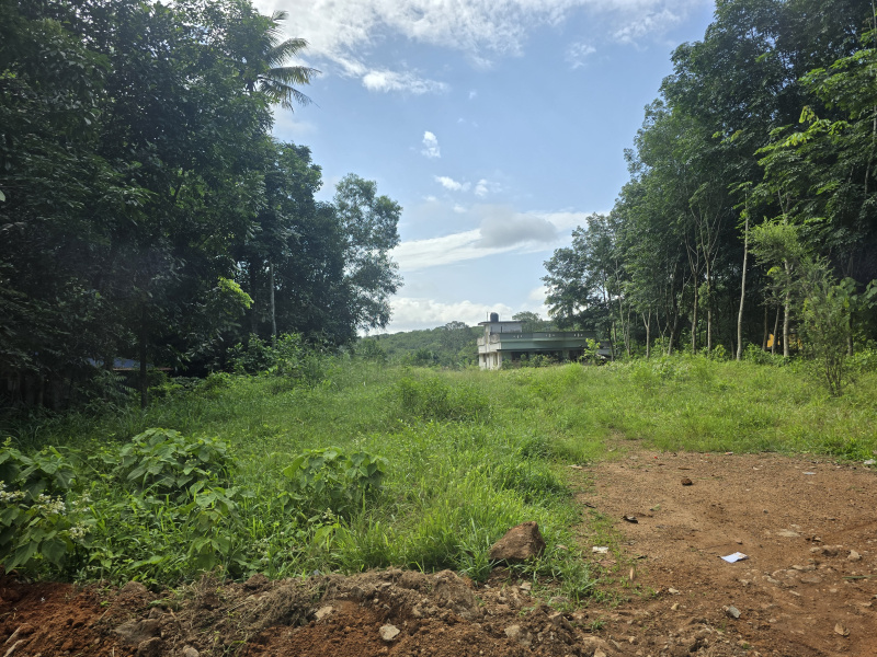  Residential Plot 40 Cent for Sale in Kattakada, Thiruvananthapuram