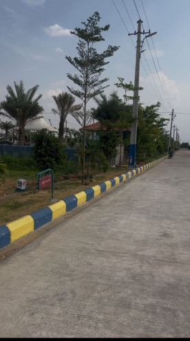 Shadnagar, Rangareddy photo 5