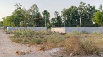  Residential Plot for Sale in Sohna, Gurgaon