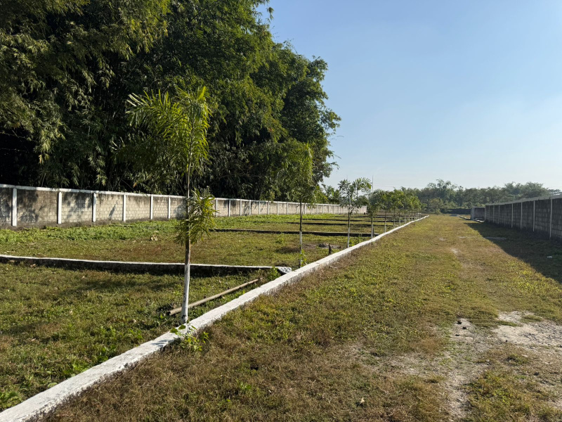Rangapani, Siliguri photo 5