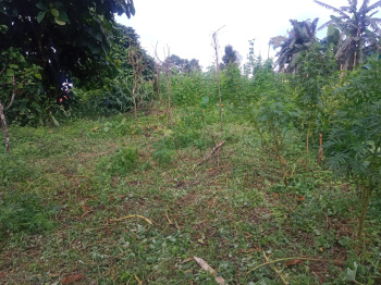  Agricultural Land for Sale in 8th Mile, Kalimpong