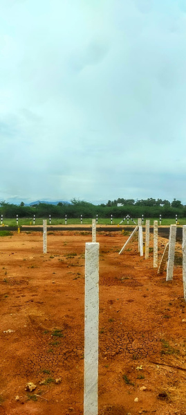  Residential Plot 435 Sq.ft. for Sale in Veerapanchan, Madurai