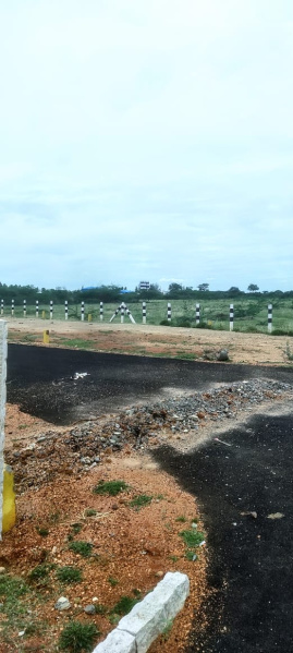  Residential Plot 435 Sq.ft. for Sale in Veerapanchan, Madurai