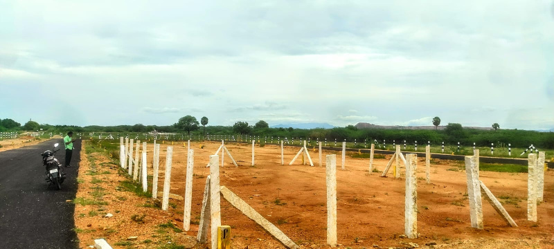  Residential Plot 435 Sq.ft. for Sale in Veerapanchan, Madurai