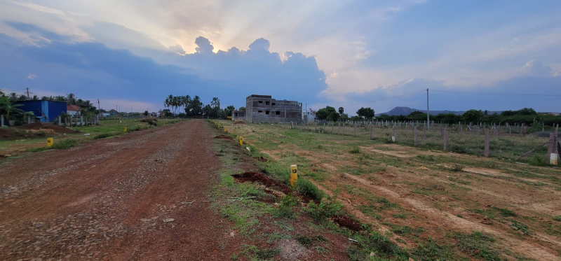  Residential Plot 436 Sq.ft. for Sale in Karuppayurani, Madurai