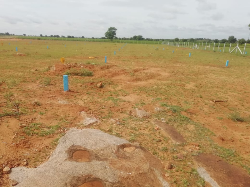  Residential Plot 1200 Sq.ft. for Sale in Bukkarayasamudram, Anantapur