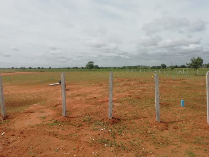  Residential Plot 1200 Sq.ft. for Sale in Bukkarayasamudram, Anantapur