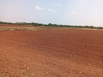  Agricultural Land for Sale in T. Kallupatti, Madurai
