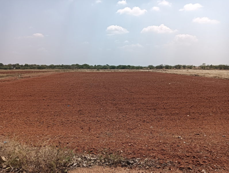 Agricultural Land 5 Acre for Sale in T. Kallupatti, Madurai