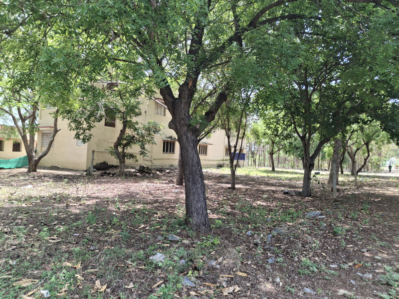  Residential Plot 1350 Sq.ft. for Sale in Thuraimangalam, Perambalur