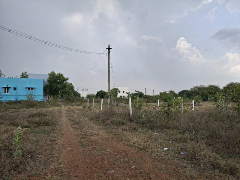  Residential Plot 6 Cent for Sale in MGR Nagar, Perambalur