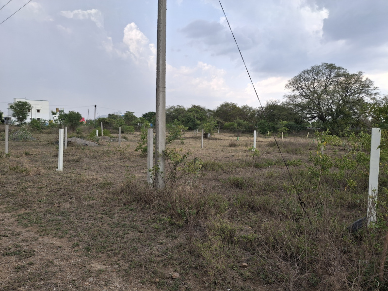  Residential Plot 6 Cent for Sale in MGR Nagar, Perambalur