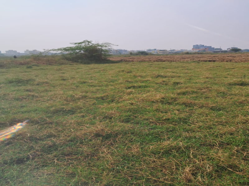  223 Sq. Yards Residential Plot for Sale in Pathapadu, Vijayawada