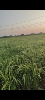  Industrial Land for Sale in Jahangirpur, Gautam Buddha Nagar