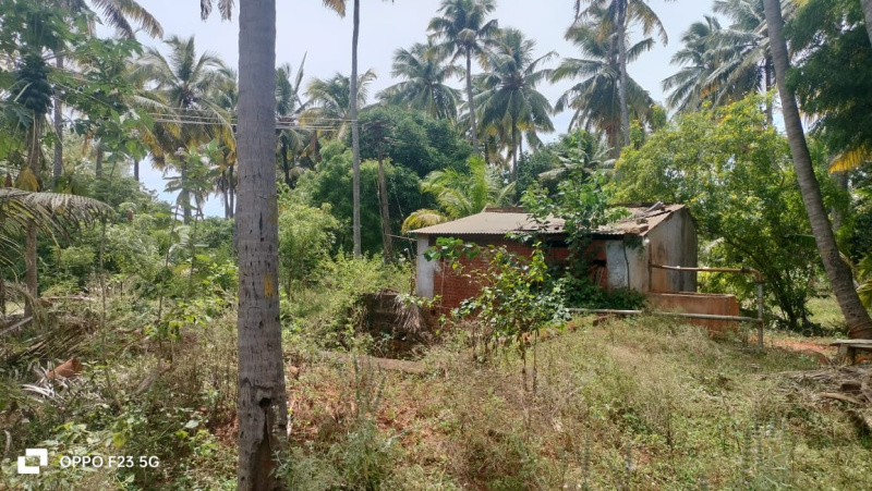  Agricultural Land 7 Acre for Sale in Achampudur, Tirunelveli