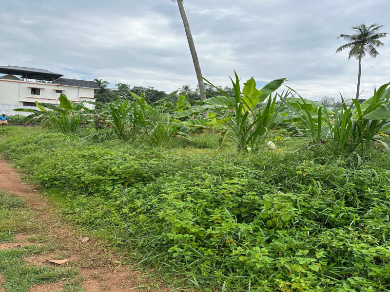  Commercial Land 15 Cent for Sale in Anchal, Kollam