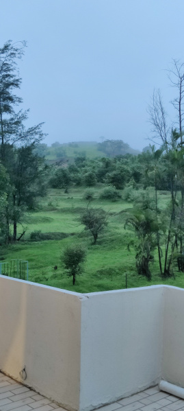 Amba, Kolhapur photo 4
