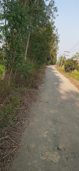  9 Bigha Agricultural/Farm Land for Sale in Afzalgarh, Bijnor