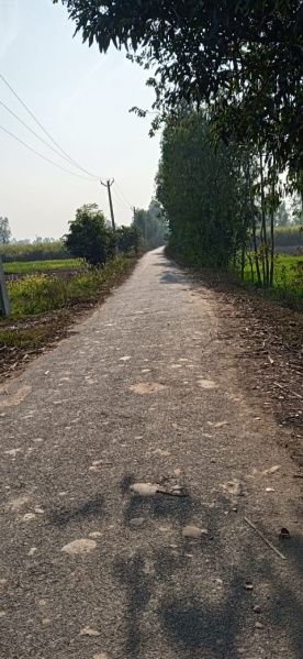 9 Bigha Agricultural/Farm Land for Sale in Afzalgarh, Bijnor