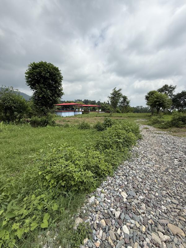  Residential Plot 164 Sq. Yards for Sale in Thano, Dehradun
