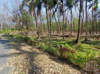  Residential Plot for Sale in Sasthamangalam, Thiruvananthapuram