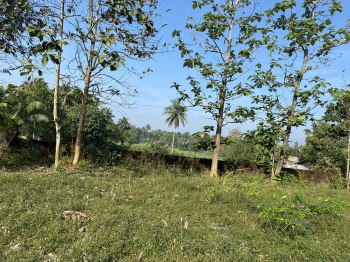  Residential Plot for Sale in Aluva, Ernakulam