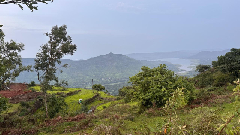 7000 Sq.ft. Residential Plot for Sale in Metgutad, Mahabaleshwar