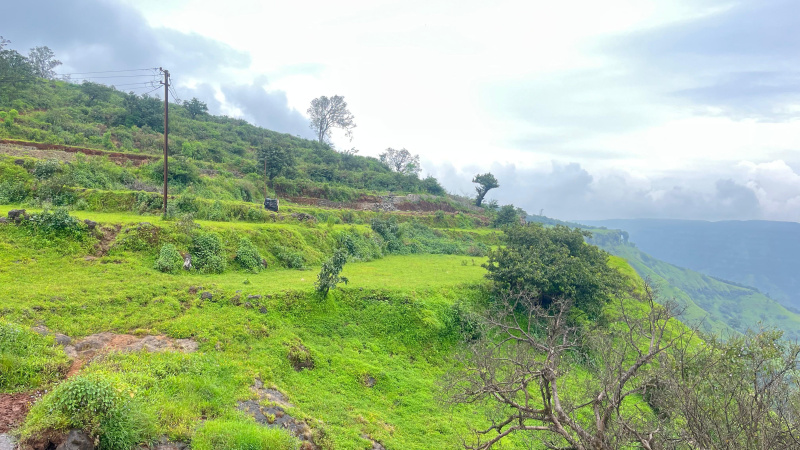  7000 Sq.ft. Residential Plot for Sale in Metgutad, Mahabaleshwar