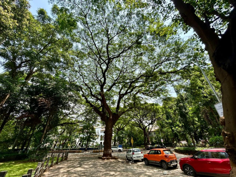 3 BHK 2040 Sq.ft. Apartment for Sale in Matunga, Mumbai