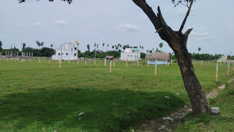  Residential Plot 769 Sq.ft. for Sale in Potheri, Chennai