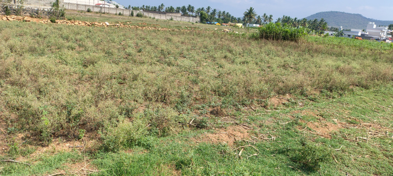 Mettupatti, Salem photo 4