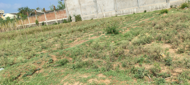 Mettupatti, Salem photo 5