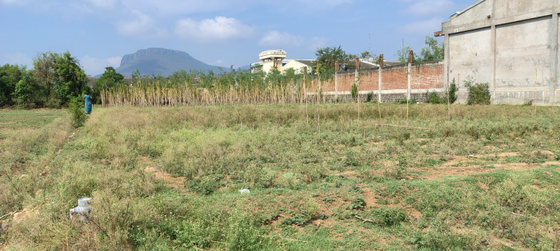 Mettupatti, Salem photo 3