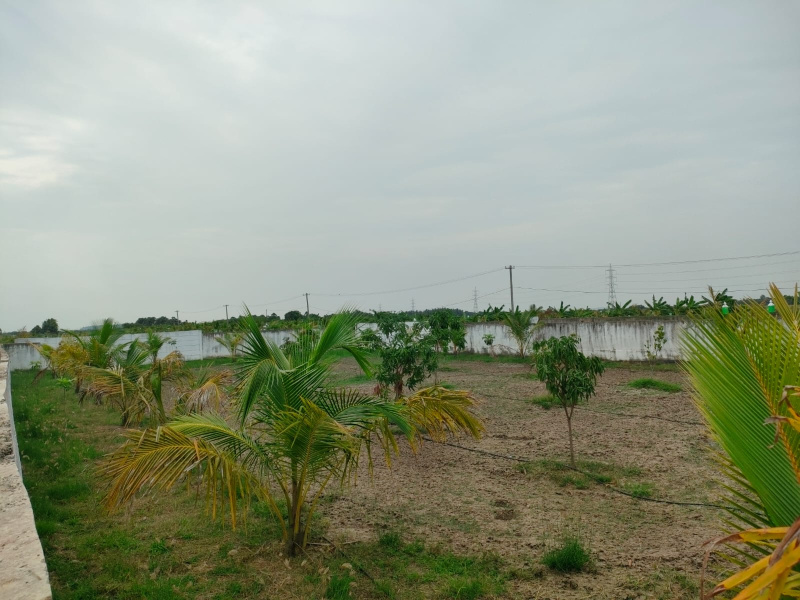  Residential Plot 9600 Sq.ft. for Sale in Sholavaram, Thiruvallur