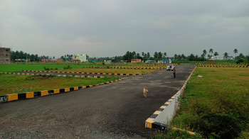  Residential Plot for Sale in Chinnasalem, Villupuram