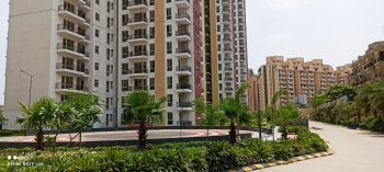 3 BHK Flat for Sale in Sector 37C Gurgaon