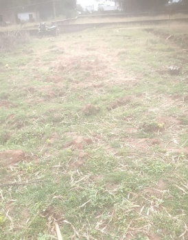 Residential Plot for Sale in Kathitand, Ranchi