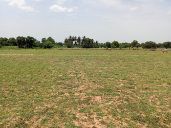  Agricultural Land for Sale in Tindivanam, Villupuram