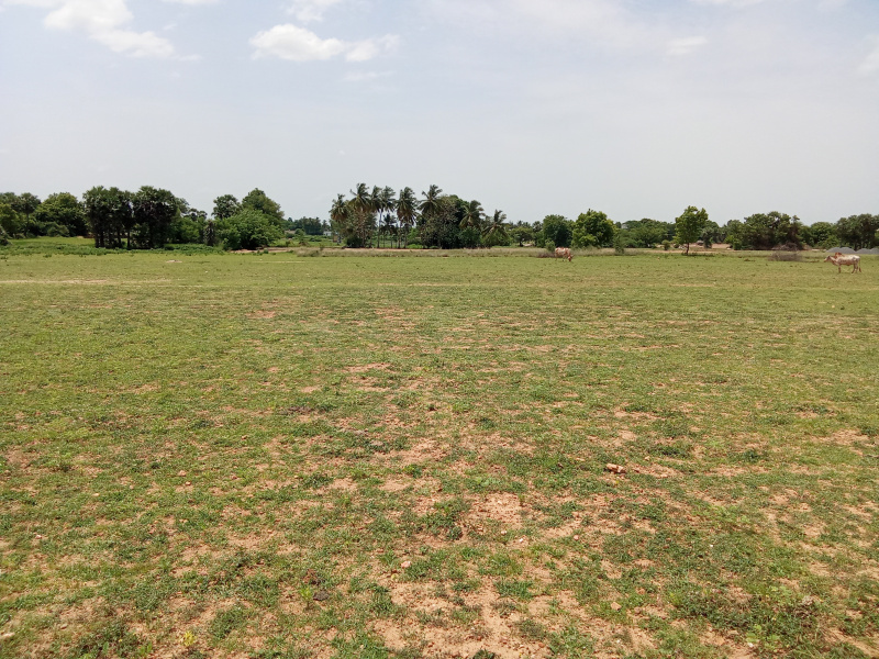  Agricultural Land 50 Cent for Sale in Tindivanam, Villupuram