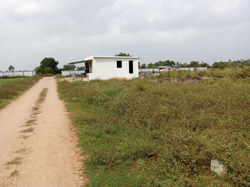  Agricultural Land 50 Cent for Sale in Tindivanam, Villupuram