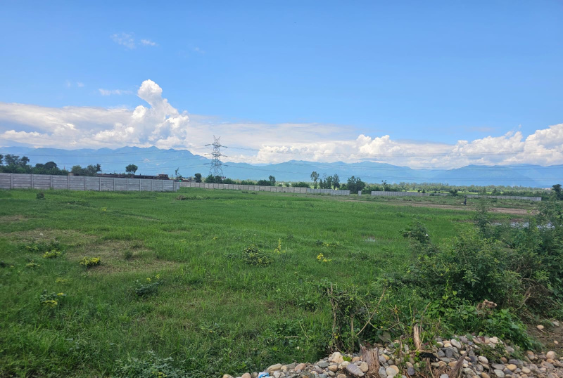  Residential Plot 32 Bigha for Sale in Dharampur, Dehradun