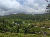 Commercial Land for Sale in Peermade, Idukki