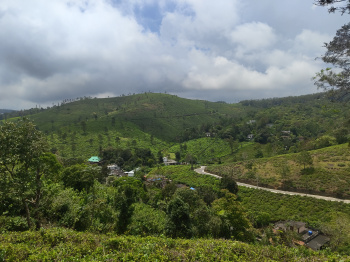  Commercial Land for Sale in Peermade, Idukki