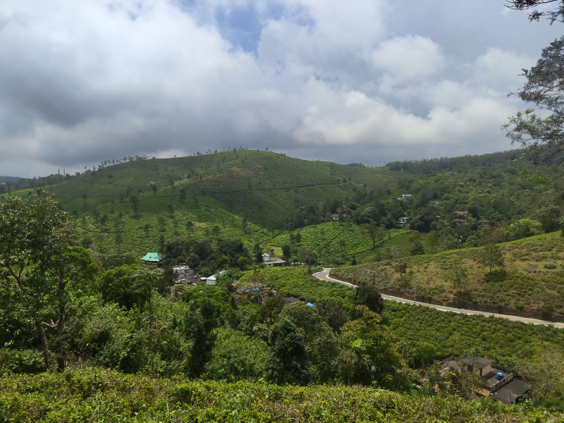  Commercial Land 50 Cent for Sale in Peermade, Idukki