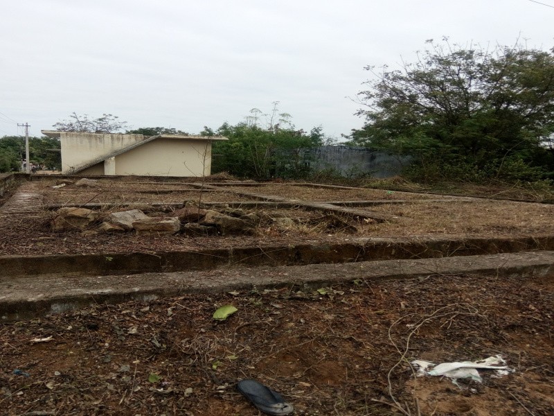  Residential Plot 264 Sq. Yards for Sale in Bhadrachalam, Bhadradri