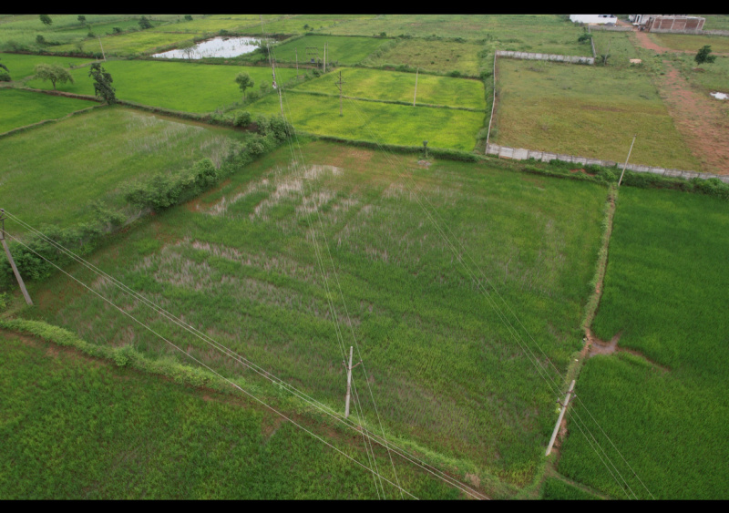  Agricultural Land 80 Dismil for Sale in Kawardha, Kabirdham