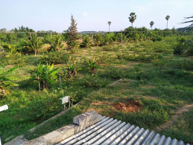  Agricultural Land 2 Acre for Sale in Vallioor, Tirunelveli